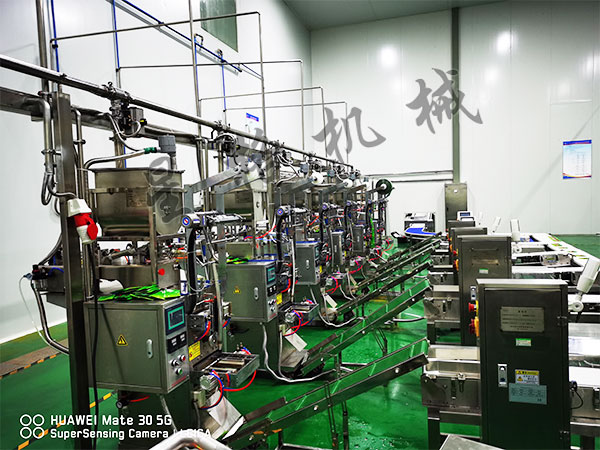 速食快餐醬料包裝機械穩(wěn)定性怎么樣(圖1)