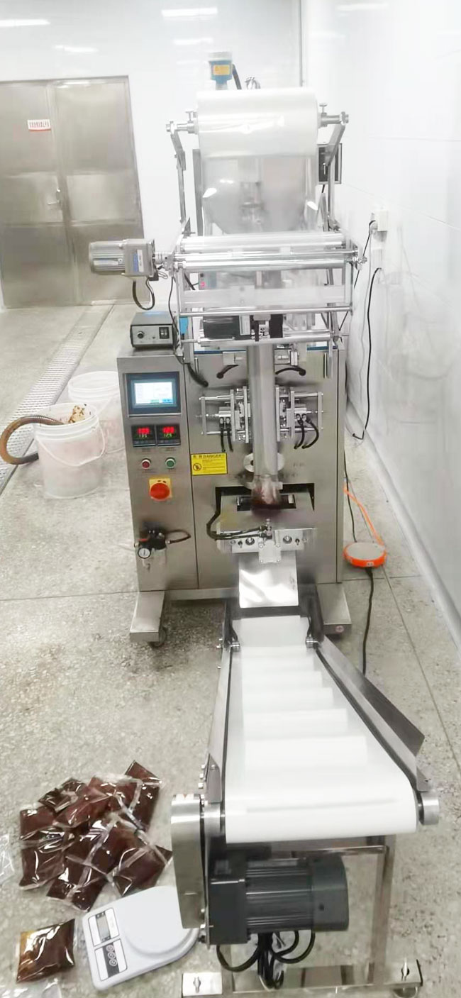 東莞大灣區(qū)食品廠(圖2)